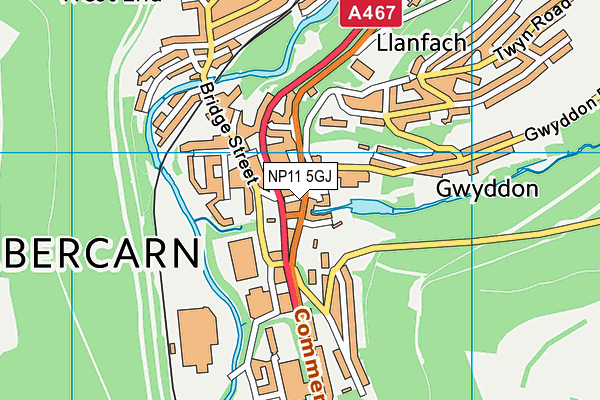 NP11 5GJ map - OS VectorMap District (Ordnance Survey) NP11 5GJ map - OS VectorMap District (Ordnance Survey)