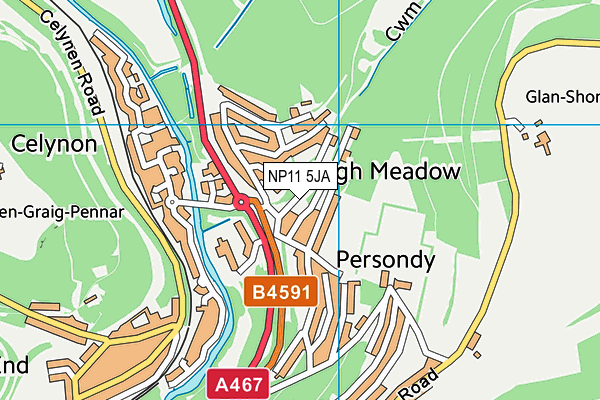 NP11 5JA map - OS VectorMap District (Ordnance Survey) NP11 5JA map - OS VectorMap District (Ordnance Survey)