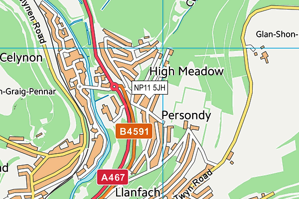 NP11 5JH map - OS VectorMap District (Ordnance Survey)