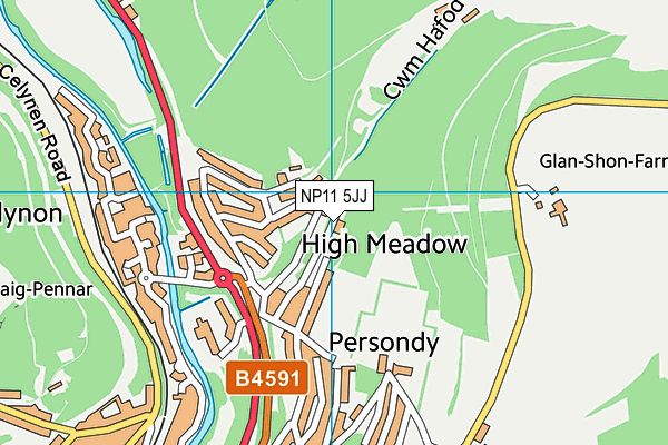 NP11 5JJ map - OS VectorMap District (Ordnance Survey) NP11 5JJ map - OS VectorMap District (Ordnance Survey)