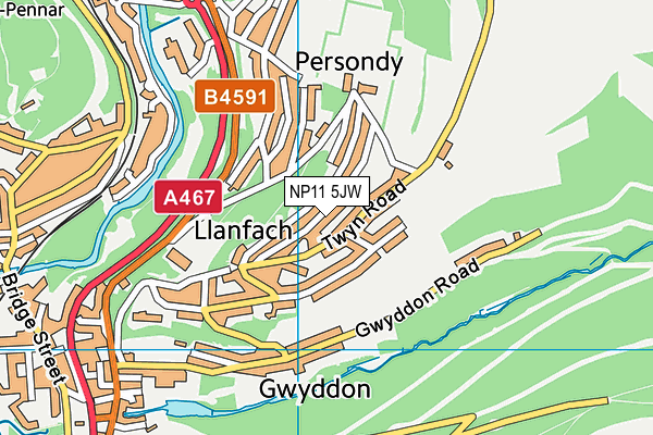 NP11 5JW map - OS VectorMap District (Ordnance Survey)