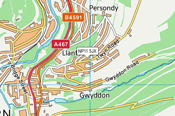 NP11 5JX map - OS VectorMap District (Ordnance Survey)