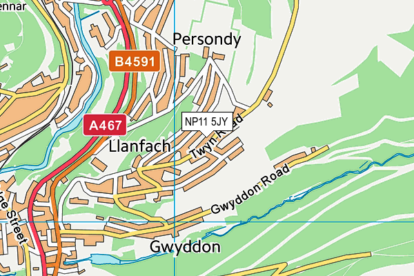 NP11 5JY map - OS VectorMap District (Ordnance Survey)