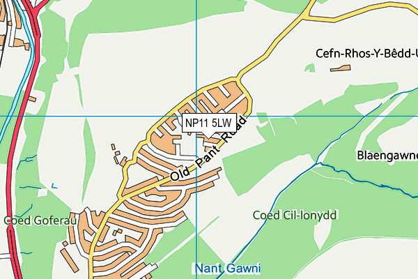 NP11 5LW map - OS VectorMap District (Ordnance Survey) NP11 5LW map - OS VectorMap District (Ordnance Survey)