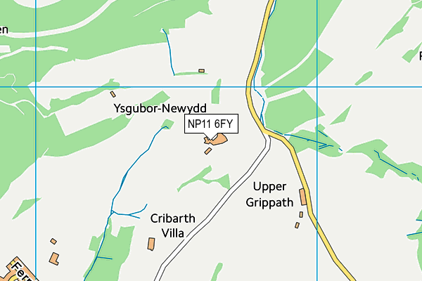 NP11 6FY map - OS VectorMap District (Ordnance Survey) NP11 6FY map - OS VectorMap District (Ordnance Survey)