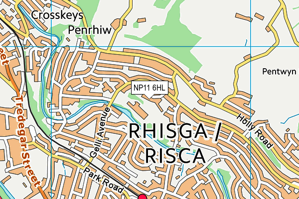NP11 6HL map - OS VectorMap District (Ordnance Survey)