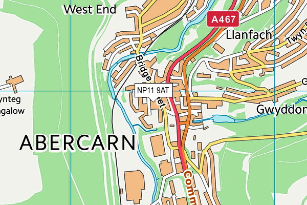 NP11 9AT map - OS VectorMap District (Ordnance Survey) NP11 9AT map - OS VectorMap District (Ordnance Survey)
