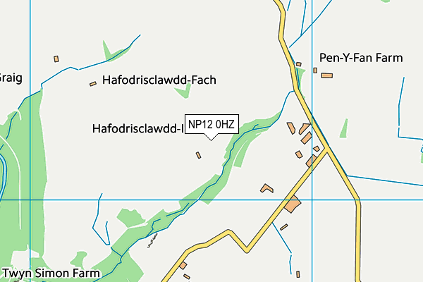 NP12 0HZ map - OS VectorMap District (Ordnance Survey) NP12 0HZ map - OS VectorMap District (Ordnance Survey)