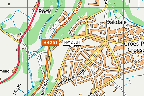 NP12 0JH map - OS VectorMap District (Ordnance Survey)
