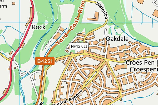 NP12 0JJ map - OS VectorMap District (Ordnance Survey) NP12 0JJ map - OS VectorMap District (Ordnance Survey)