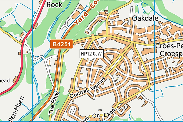 NP12 0JW map - OS VectorMap District (Ordnance Survey) NP12 0JW map - OS VectorMap District (Ordnance Survey)