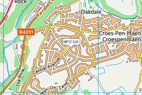 NP12 0JX map - OS VectorMap District (Ordnance Survey)