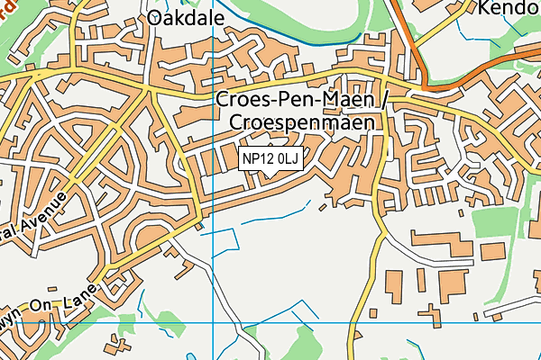 NP12 0LJ map - OS VectorMap District (Ordnance Survey) NP12 0LJ map - OS VectorMap District (Ordnance Survey)