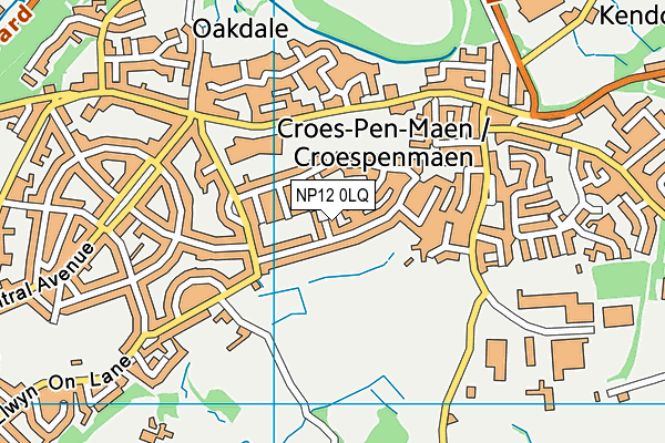 NP12 0LQ map - OS VectorMap District (Ordnance Survey) NP12 0LQ map - OS VectorMap District (Ordnance Survey)