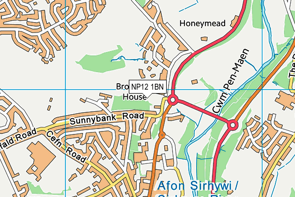 NP12 1BN map - OS VectorMap District (Ordnance Survey) NP12 1BN map - OS VectorMap District (Ordnance Survey)