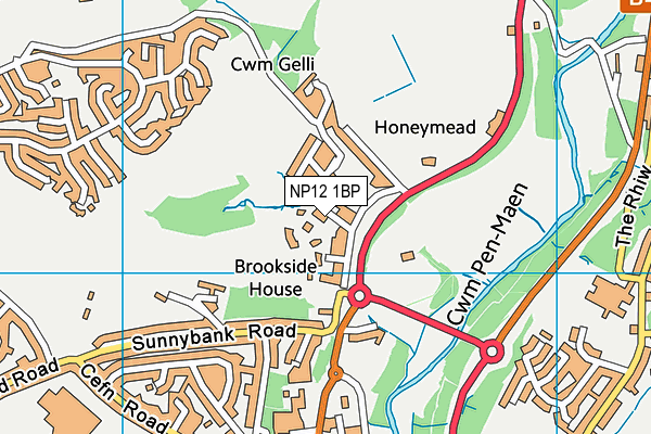 NP12 1BP map - OS VectorMap District (Ordnance Survey) NP12 1BP map - OS VectorMap District (Ordnance Survey)