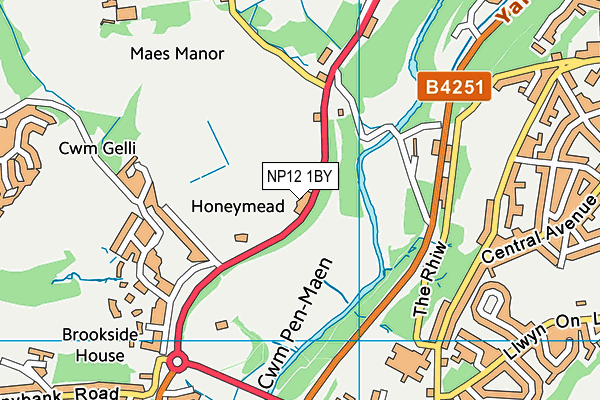 NP12 1BY map - OS VectorMap District (Ordnance Survey) NP12 1BY map - OS VectorMap District (Ordnance Survey)
