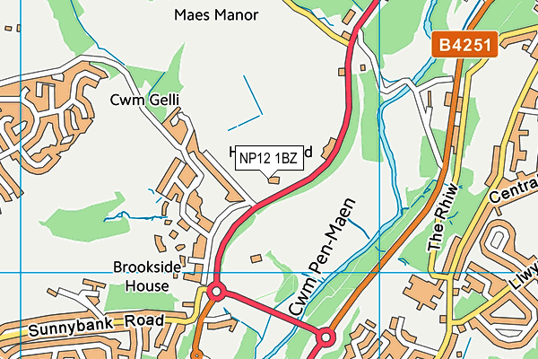 NP12 1BZ map - OS VectorMap District (Ordnance Survey) NP12 1BZ map - OS VectorMap District (Ordnance Survey)