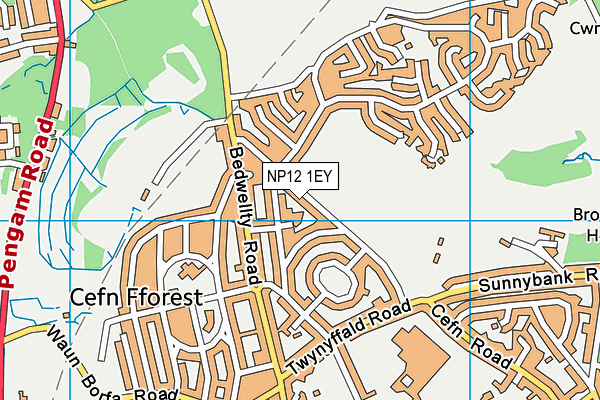 NP12 1EY map - OS VectorMap District (Ordnance Survey) NP12 1EY map - OS VectorMap District (Ordnance Survey)