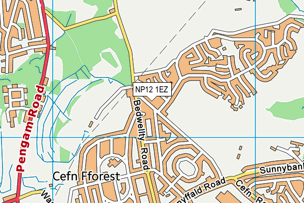 NP12 1EZ map - OS VectorMap District (Ordnance Survey) NP12 1EZ map - OS VectorMap District (Ordnance Survey)