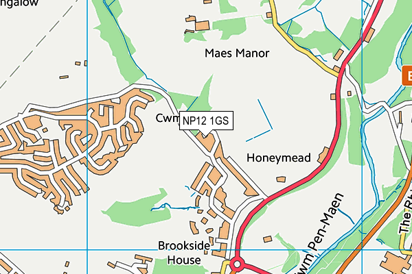 NP12 1GS map - OS VectorMap District (Ordnance Survey) NP12 1GS map - OS VectorMap District (Ordnance Survey)