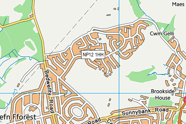 NP12 1HH map - OS VectorMap District (Ordnance Survey) NP12 1HH map - OS VectorMap District (Ordnance Survey)