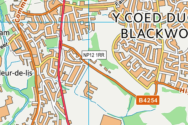 NP12 1RR map - OS VectorMap District (Ordnance Survey) NP12 1RR map - OS VectorMap District (Ordnance Survey)