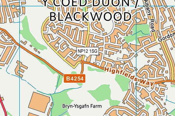 NP12 1SG map - OS VectorMap District (Ordnance Survey) NP12 1SG map - OS VectorMap District (Ordnance Survey)