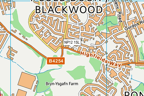 NP12 1SL map - OS VectorMap District (Ordnance Survey) NP12 1SL map - OS VectorMap District (Ordnance Survey)