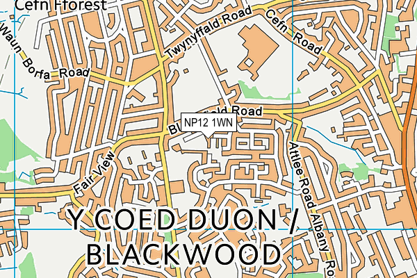 NP12 1WN map - OS VectorMap District (Ordnance Survey) NP12 1WN map - OS VectorMap District (Ordnance Survey)