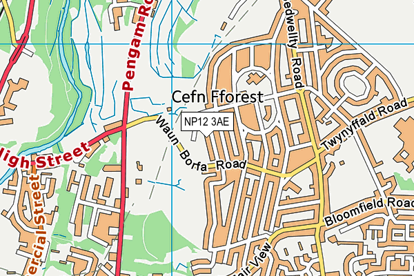 NP12 3AE map - OS VectorMap District (Ordnance Survey) NP12 3AE map - OS VectorMap District (Ordnance Survey)