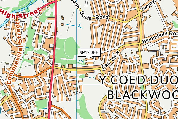 NP12 3FE map - OS VectorMap District (Ordnance Survey) NP12 3FE map - OS VectorMap District (Ordnance Survey)