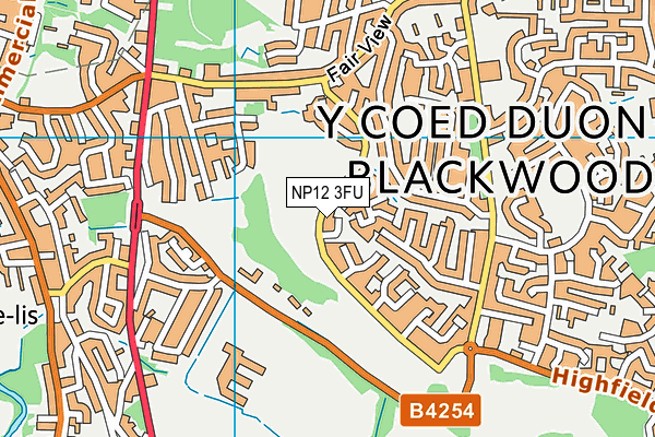 NP12 3FU map - OS VectorMap District (Ordnance Survey) NP12 3FU map - OS VectorMap District (Ordnance Survey)