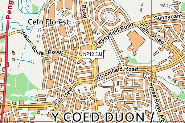 NP12 3JJ map - OS VectorMap District (Ordnance Survey) NP12 3JJ map - OS VectorMap District (Ordnance Survey)