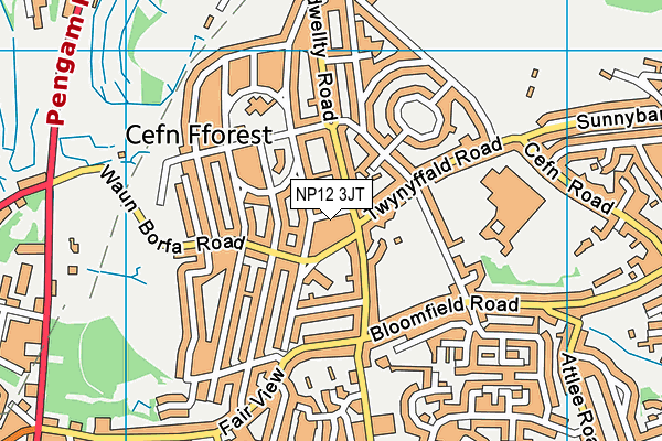 NP12 3JT map - OS VectorMap District (Ordnance Survey) NP12 3JT map - OS VectorMap District (Ordnance Survey)
