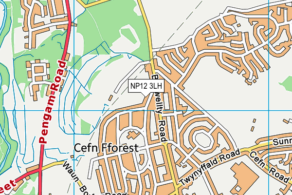 NP12 3LH map - OS VectorMap District (Ordnance Survey)