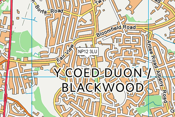 NP12 3LU map - OS VectorMap District (Ordnance Survey) NP12 3LU map - OS VectorMap District (Ordnance Survey)