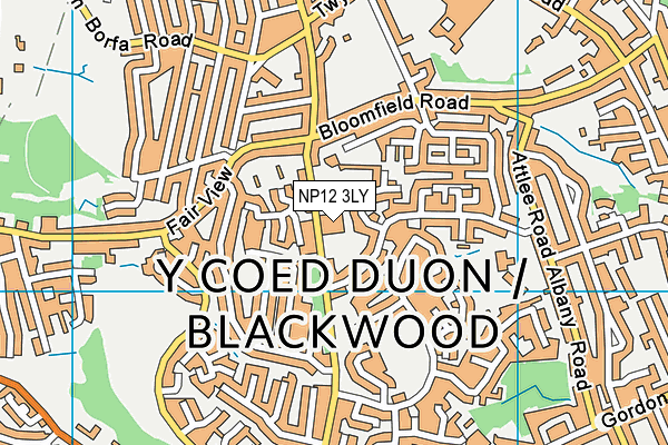 NP12 3LY map - OS VectorMap District (Ordnance Survey) NP12 3LY map - OS VectorMap District (Ordnance Survey)