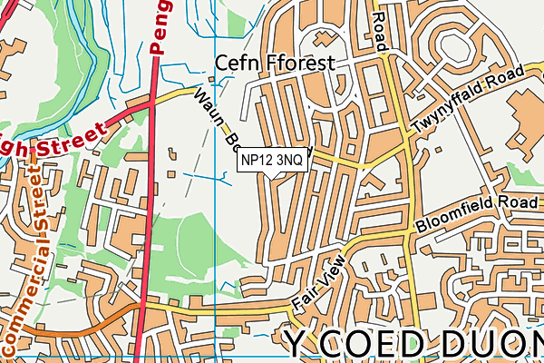 NP12 3NQ map - OS VectorMap District (Ordnance Survey) NP12 3NQ map - OS VectorMap District (Ordnance Survey)
