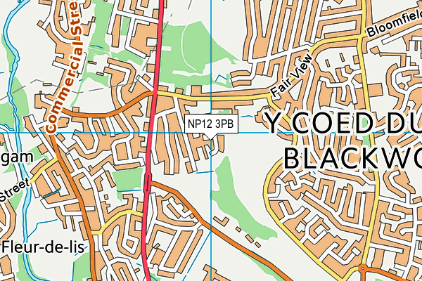 NP12 3PB map - OS VectorMap District (Ordnance Survey) NP12 3PB map - OS VectorMap District (Ordnance Survey)