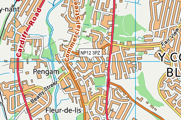 NP12 3PZ map - OS VectorMap District (Ordnance Survey) NP12 3PZ map - OS VectorMap District (Ordnance Survey)