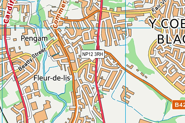 NP12 3RH map - OS VectorMap District (Ordnance Survey) NP12 3RH map - OS VectorMap District (Ordnance Survey)