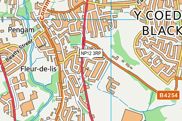 NP12 3RP map - OS VectorMap District (Ordnance Survey) NP12 3RP map - OS VectorMap District (Ordnance Survey)