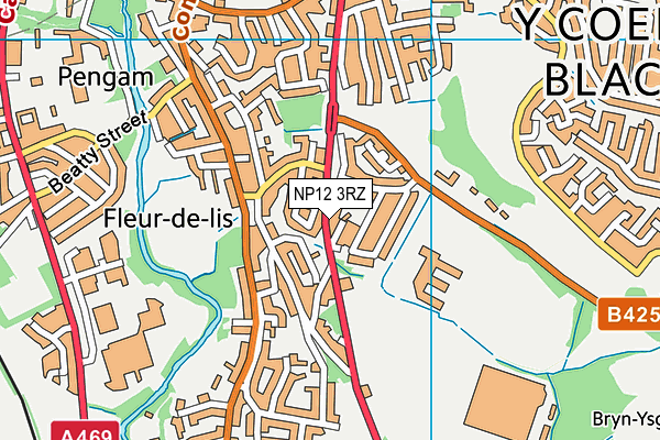 NP12 3RZ map - OS VectorMap District (Ordnance Survey) NP12 3RZ map - OS VectorMap District (Ordnance Survey)