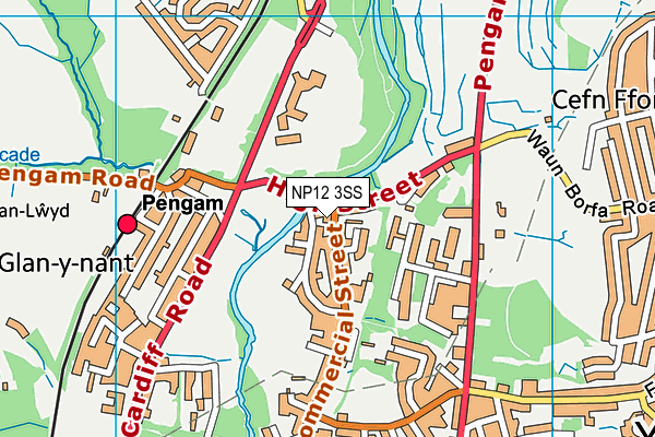 NP12 3SS map - OS VectorMap District (Ordnance Survey) NP12 3SS map - OS VectorMap District (Ordnance Survey)
