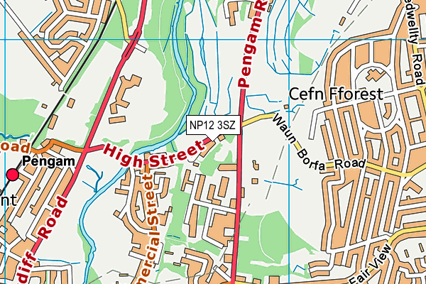 NP12 3SZ map - OS VectorMap District (Ordnance Survey) NP12 3SZ map - OS VectorMap District (Ordnance Survey)