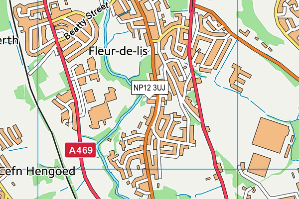 NP12 3UJ map - OS VectorMap District (Ordnance Survey) NP12 3UJ map - OS VectorMap District (Ordnance Survey)