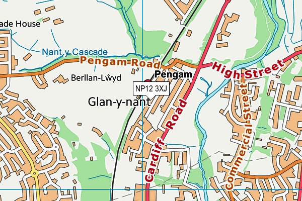 NP12 3XJ map - OS VectorMap District (Ordnance Survey)