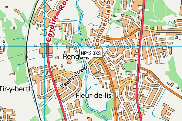 NP12 3XS map - OS VectorMap District (Ordnance Survey) NP12 3XS map - OS VectorMap District (Ordnance Survey)