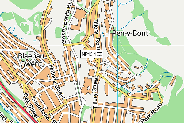 NP13 1EZ map - OS VectorMap District (Ordnance Survey)